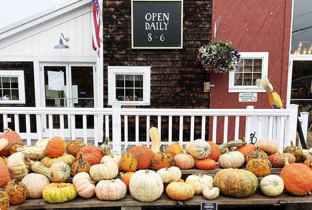 Where to Buy a Pumpkin on the North Shore in 2020