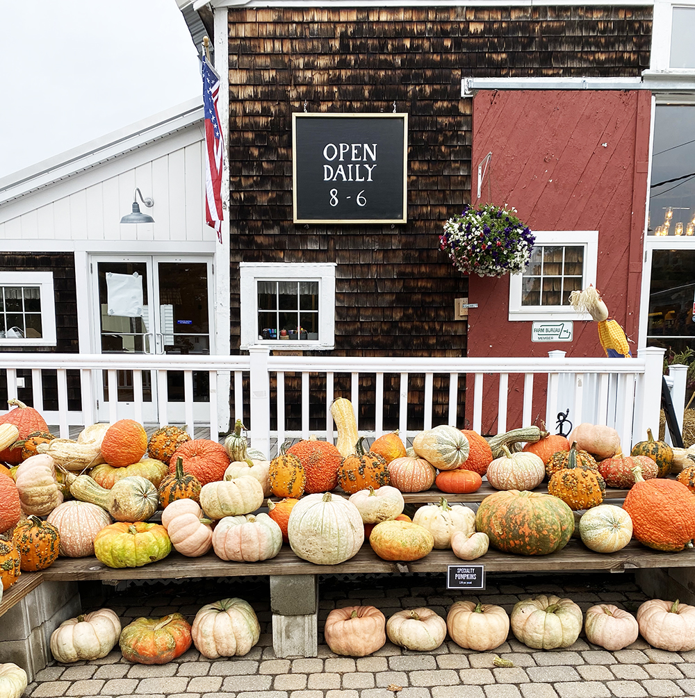 pumpkins-cider-hill-farm-crop-1000