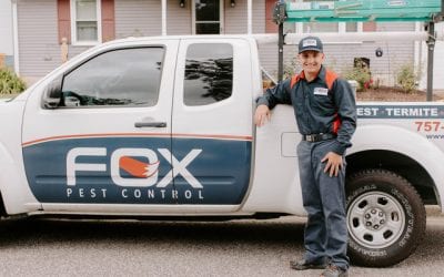 Fall Pests: 5 To Watch Out For!