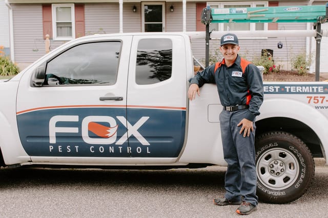 Fall Pests: 5 To Watch Out For!