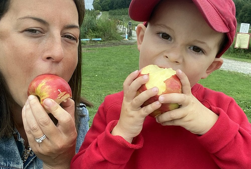 The Best North Shore Spots for Apple Picking (2021)