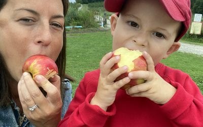 The Best North Shore Spots for Apple Picking (2021)