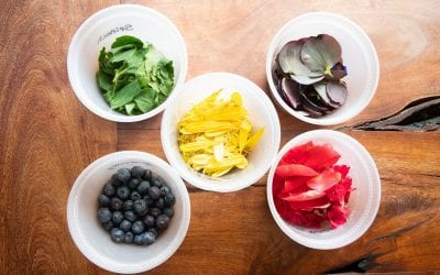 Gardening with Kids: Fun Ideas for All Ages