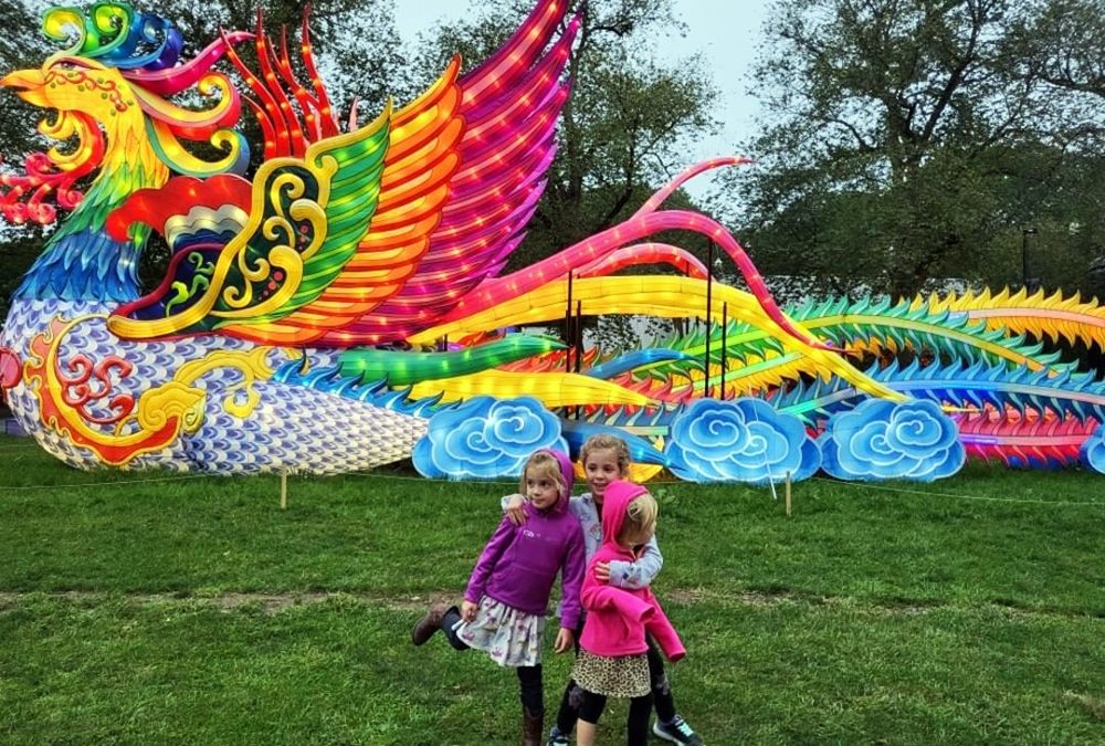 Visit Boston Lights at Franklin Park Zoo