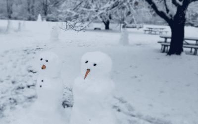 Snowmen Popping Up All Over Town!