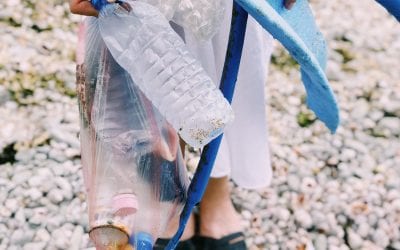 Where to Recycle That: Lansing-Area Edition.  Plus recycling tips from a local Marine Biologist for Earth Day