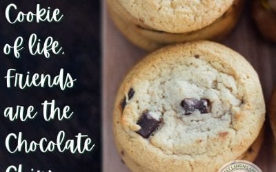 National Chocolate Chip Day & Blondies with Chocolate Chips