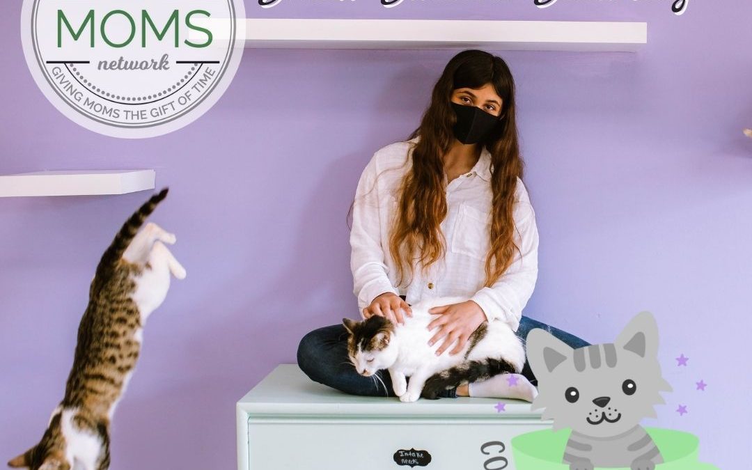Small Business Saturday: Constellation Cat Cafe