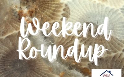 Weekend Roundup | October 15 – 17