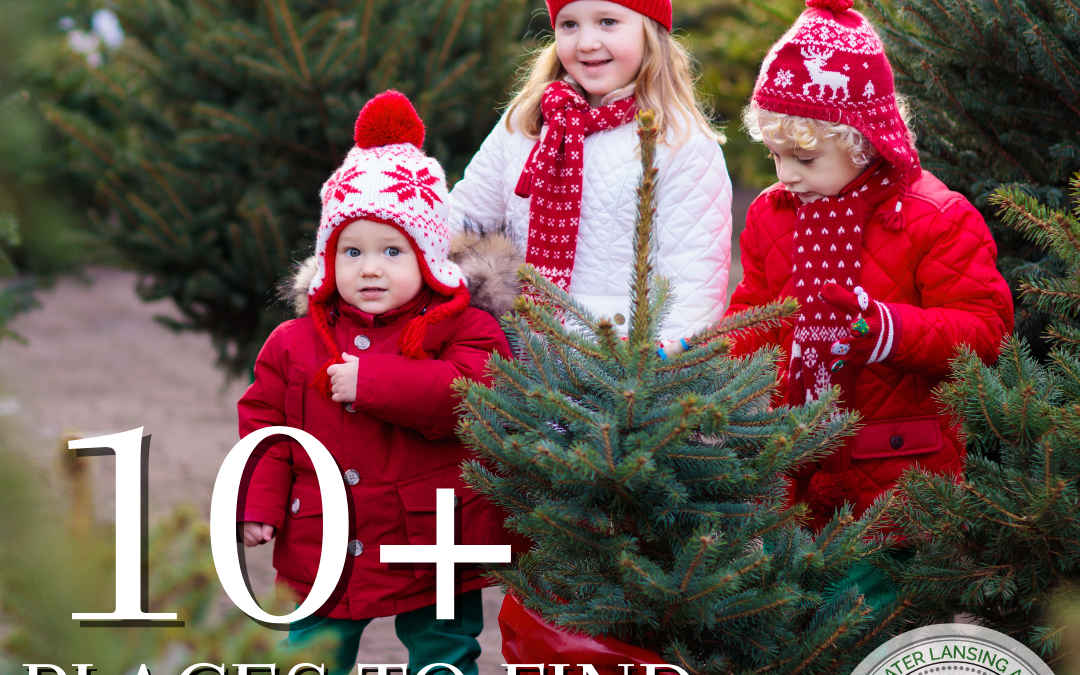 10+ Places to find a Christmas Tree!