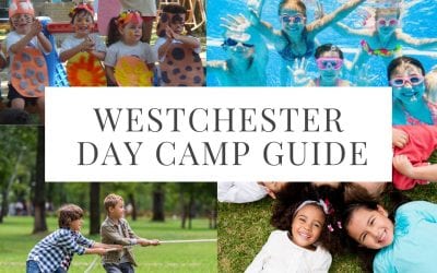 2021 Westchester Day Camp Guide!