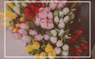 Fun Holidays to Celebrate in the Month of May