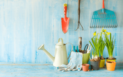 Free Garden-to-Go kits from Lowes