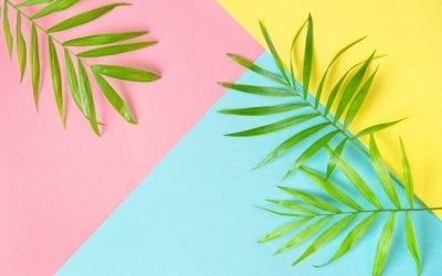 12 Things To Do This Weekend in Polk County, Florida and Surrounding Areas on June 24th to June 27th