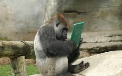 Tails and Tales with Books Bridge Bus of Polk County