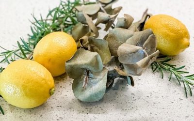 Rosemary, Lemon and Eucalyptus Simmer Pot Recipe