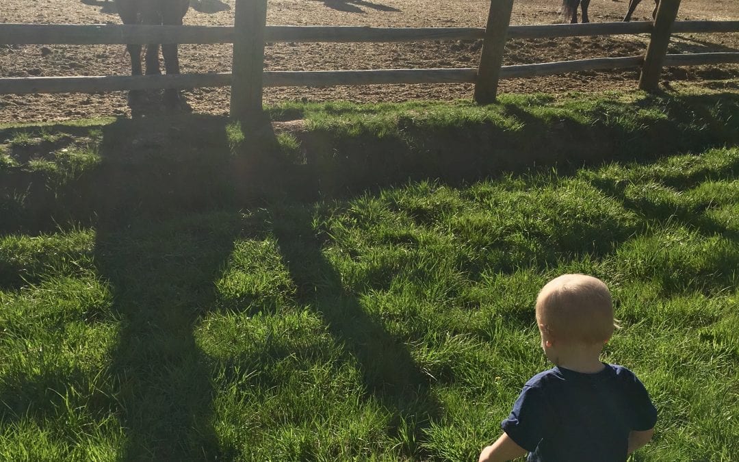 How to Travel with Kids: A Guide