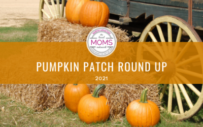 Pumpkin Patch Round Up 2021