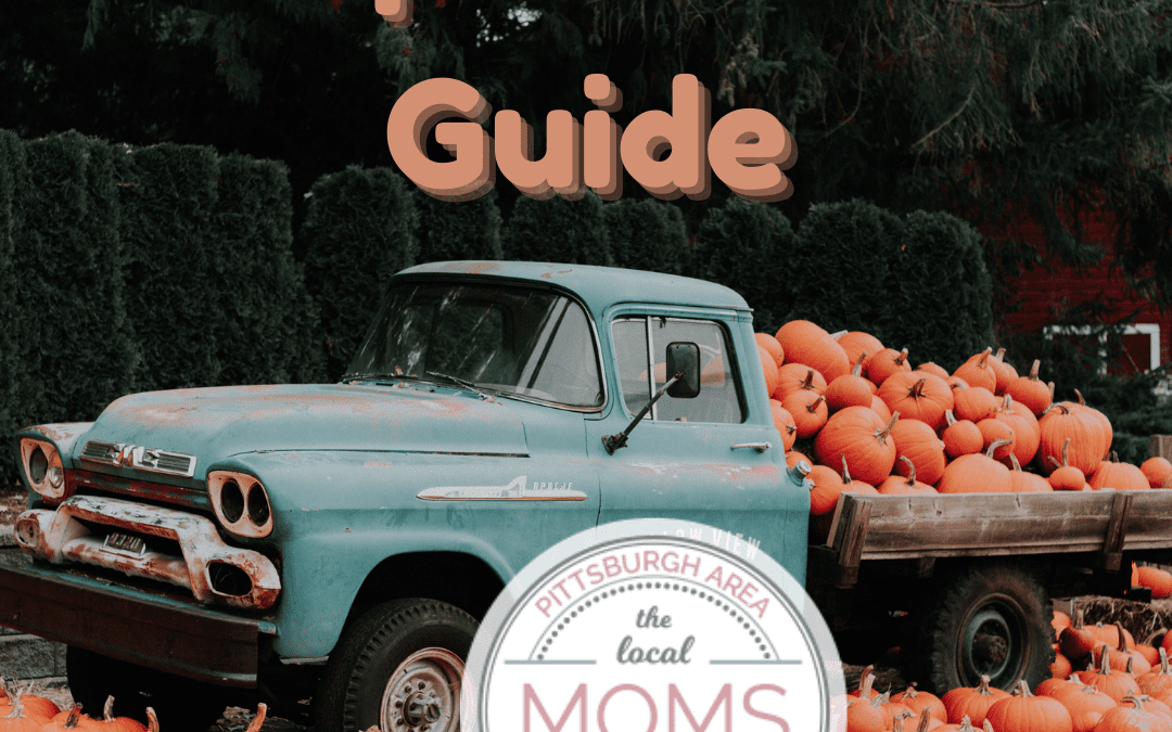 Pumpkin Patch Guide