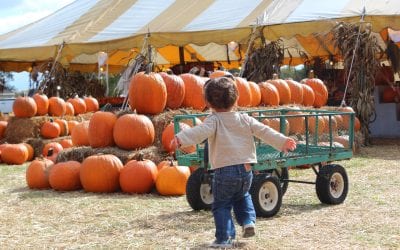 Family Fun for the Fall