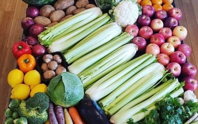 How You Can Help Locally During COVID-19