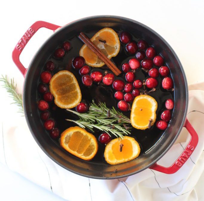 DIY Simmer Pot Holiday Home Fragrance!
