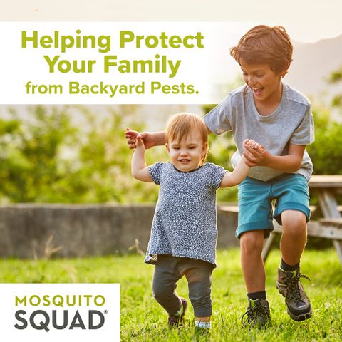 Mosquito Squad Tick Control Can Help Protect Your Yard This Spring